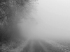 julnyar-068