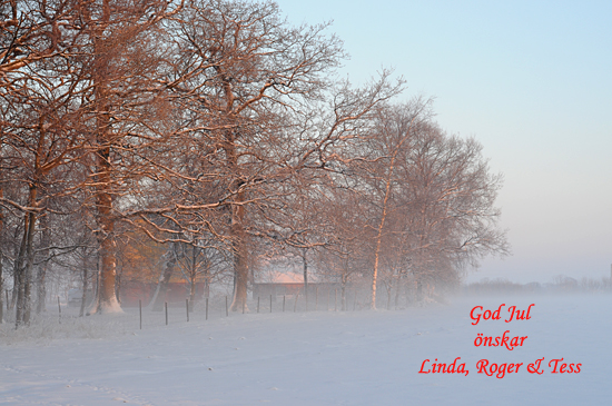 godjul10